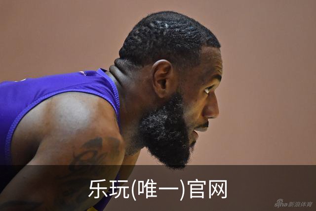 乐玩(唯一)官网公司介绍